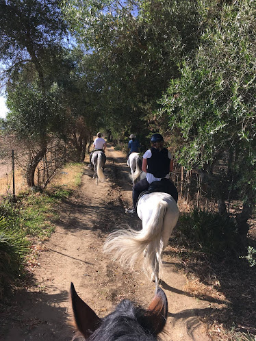 Centro Hipico the albardones