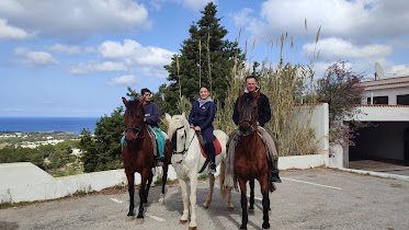Cuadras Jara del Arco