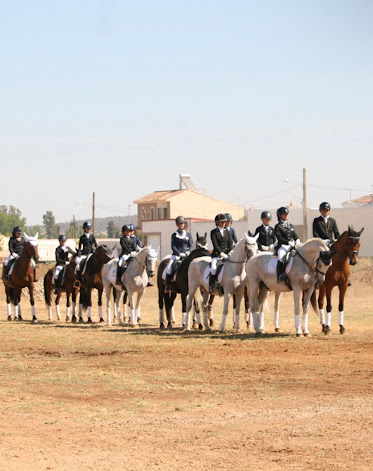 CENTRO HiPICO LA BARCA
