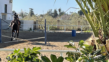 Escuela de Equitacion Hipicana