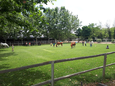 Escuela de equitacion y Pony Club Perales del Rio