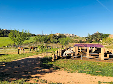 EQUNATURA Hipica Granja