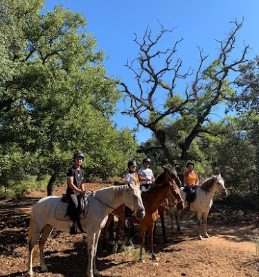PADDOCK PARADISE RONDA