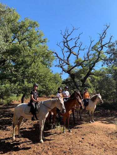 PADDOCK PARADISE RONDA