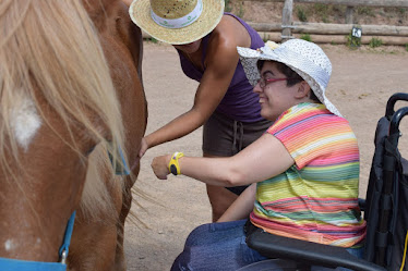 C H Cal Graells Cavalls d Esport