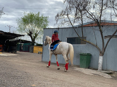 Centro Hipico El Corcel Finca Luz de Luna