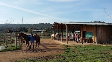 Club Hipico – Escuela de Equitacion El Turo