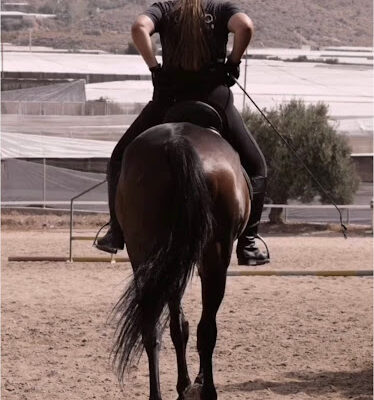 Club Hipico Arena Aguadulce