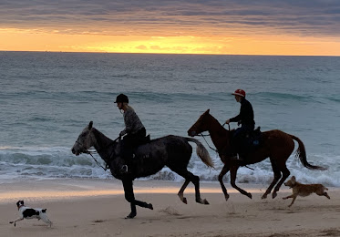 Rienda Suelta TurismoConil
