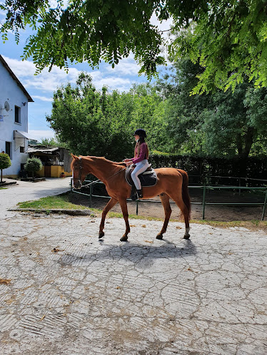 Club Hipico Oscar Lorente
