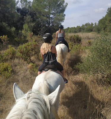 Centre Hipic Rodonya