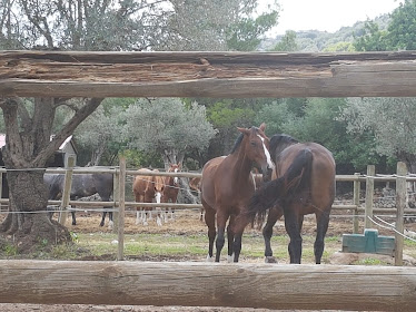 Club Hipico La Gubia