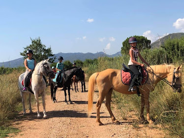 LA FINCA CABANES Asociacinon Ecuestre
