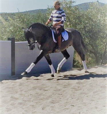 Centro Ecuestre LA QUERENCIA Alcala la Real