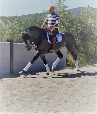 Centro Ecuestre LA QUERENCIA Alcala la Real