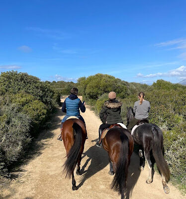 Bravada Sport Horses Femke van der Kooij