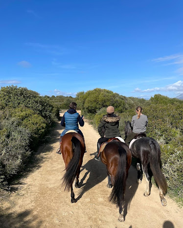 Bravada Sport Horses Femke van der Kooij