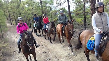 Horse Riding Tenerife – Paseos a Caballo Tenerife