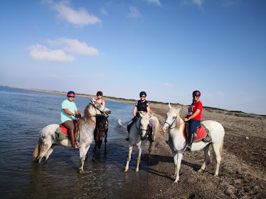 Vacaciones a Caballo