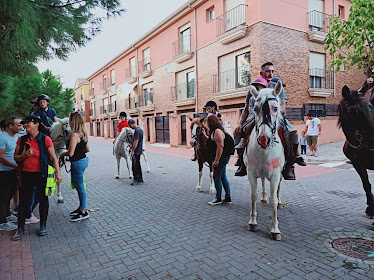 Hipica Villargut Escola d Equitacio Palmer