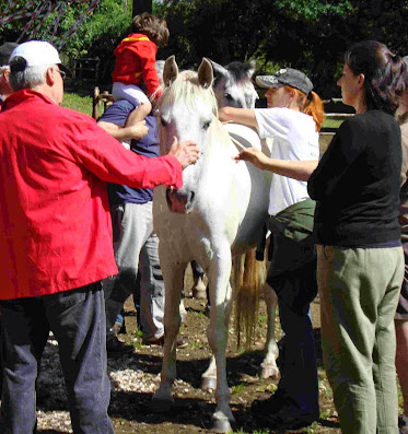 Caballo Natural EQUINUS