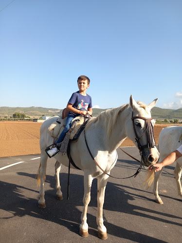 Rutas a caballo equitacion la pe a
