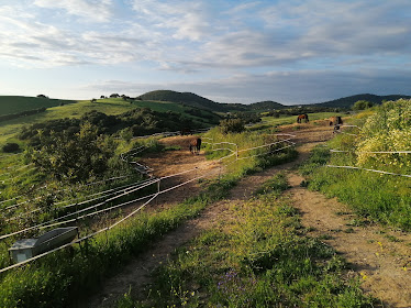 Reiten in Andalusien – Al – Natoura Horse Riding