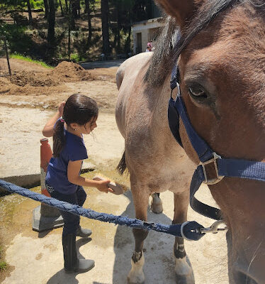 Club Hipico Laukiniz