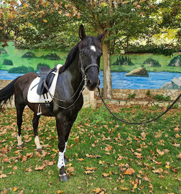 Finca Pozo de los Caballos