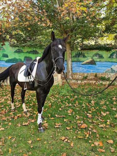 Finca Pozo de los Caballos