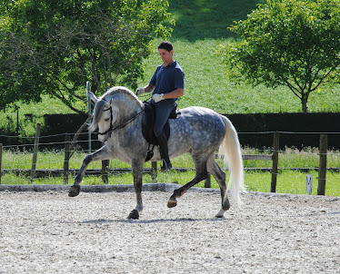 Centro Hipico del Pisueña