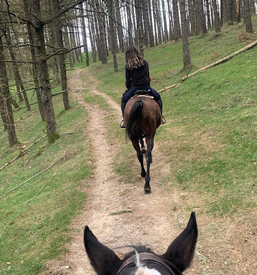 Gorrintzulo Zalditokia