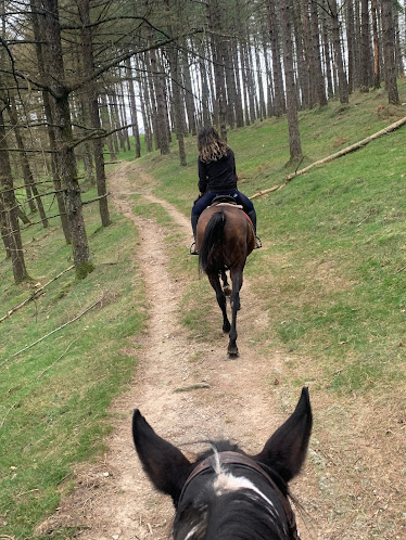 Gorrintzulo Zalditokia