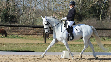 Centre d Equitacio Vidreres