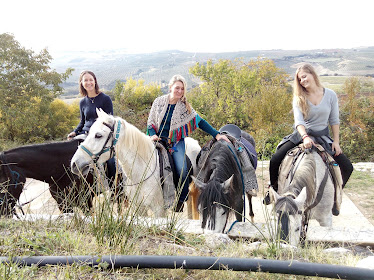 Caballos y Vinos Ruta a Caballo