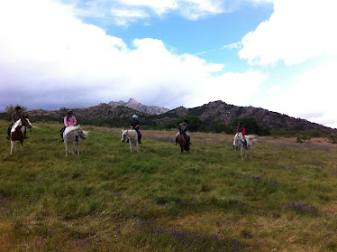 Centro ecuestre Entorno Doñana
