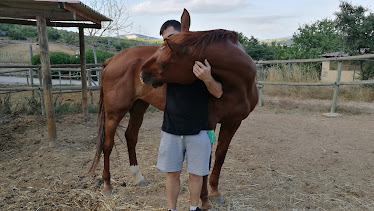 Yeguada Juan Vazquez