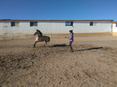 Las Fuentecillas Picadero