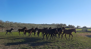 Roman Romero Sanchez Rutas y paseos a caballo
