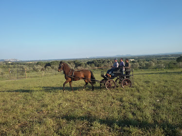 Equitour Albera Costa Brava