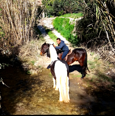 Finca Rumba y galan Anak Mas