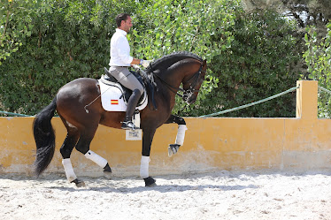 Centro Ecuestre Artequus