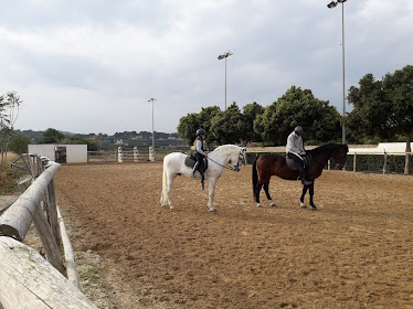 Centro hipico El Pinar