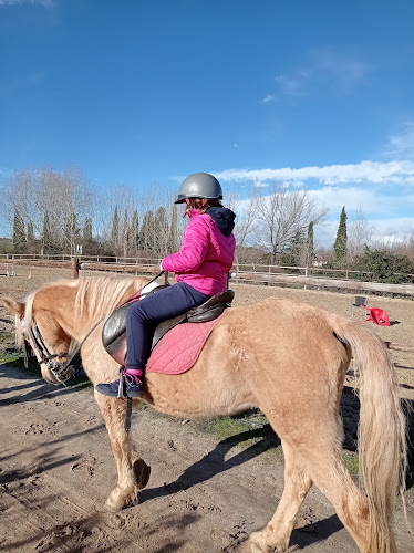 Hipica Prado de Viñuelas