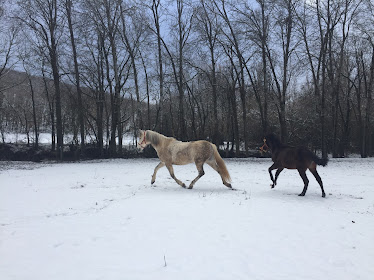 La Tinada Del Cadagua