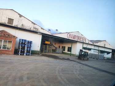 Coop Champiniesta