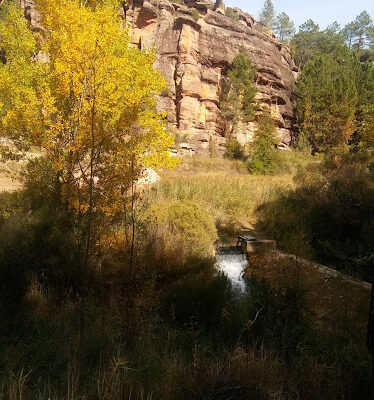 Centro Ecuestre LA RINCONa