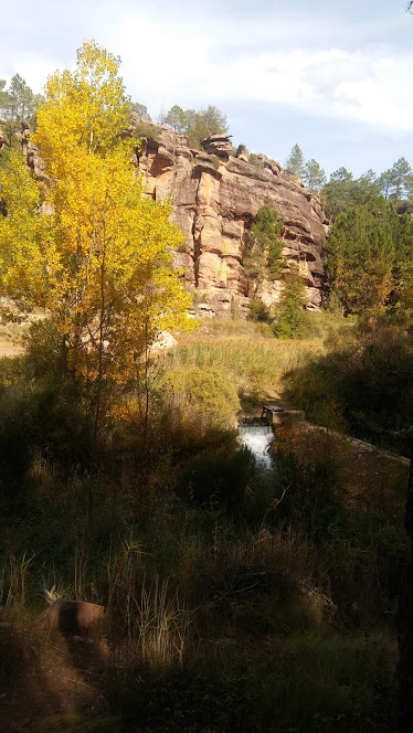 Centro Ecuestre LA RINCONa