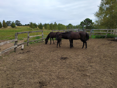 Poni Club Monte Deva