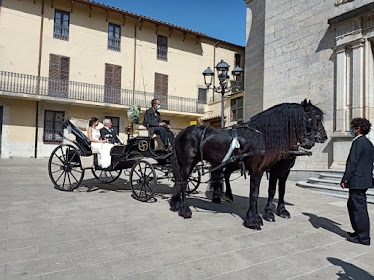 Carruatges de Casament mas Pages